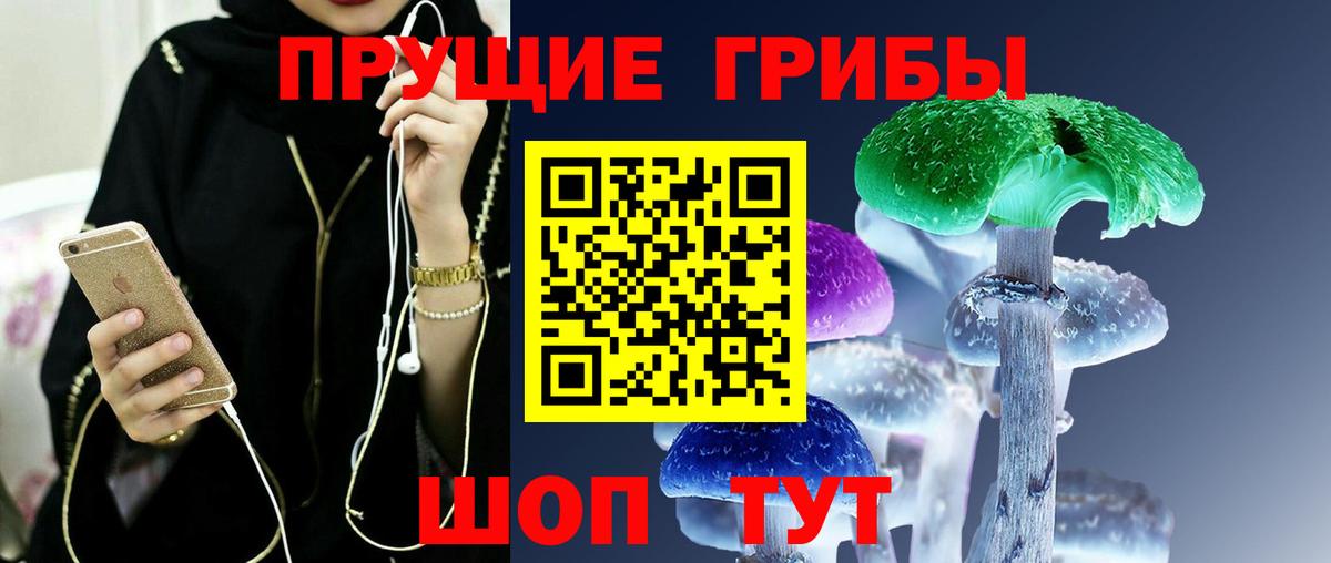 Ирбит  Галлюциногенные грибы Psilocybe  Вход с VPN 